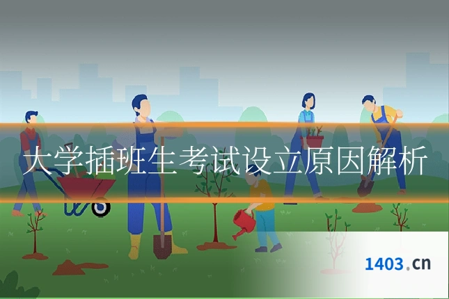 大学插班生考试设立原因解析
