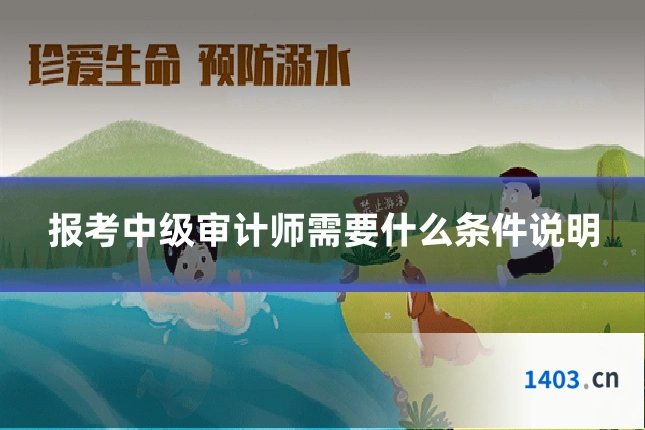 报考中级审计师需要什么条件说明