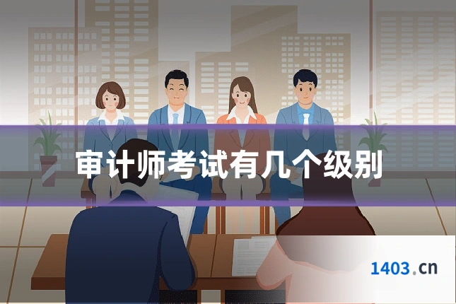审计师考试有几个级别