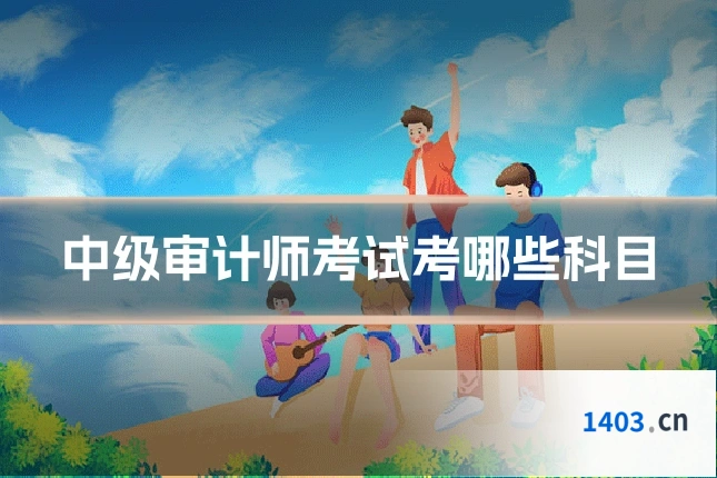 中级审计师考试考哪些科目
