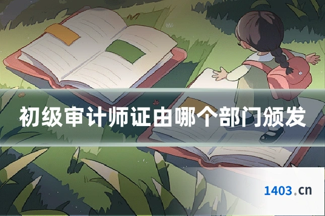 初级审计师证由哪个部门颁发