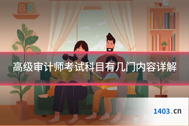 高级审计师考试科目有几门内容详解