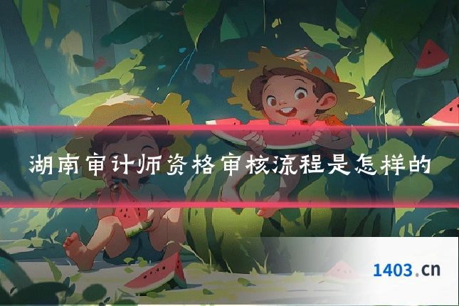 湖南审计师资格审核流程是怎样的