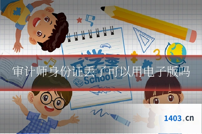 审计师身份证丢了可以用电子版吗