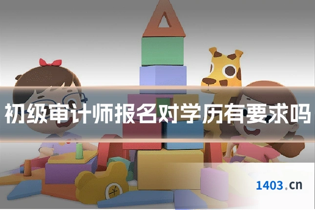 初级审计师报名对学历有要求吗