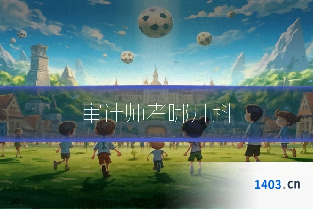 审计师考哪几科