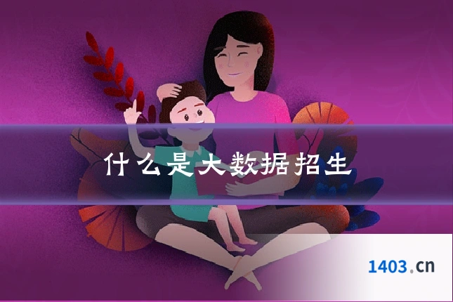 什么是大数据招生