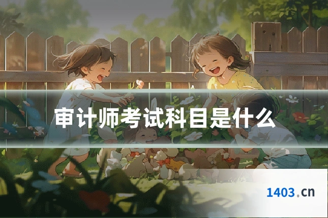 审计师考试科目是什么