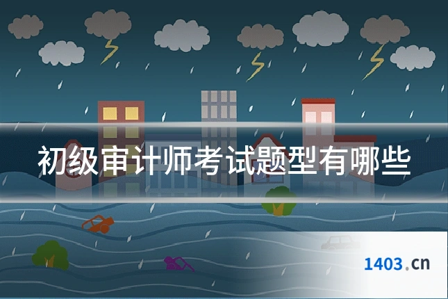 初级审计师考试题型有哪些
