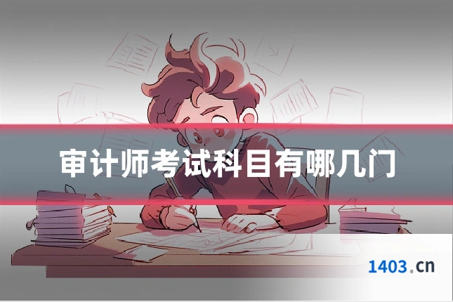 审计师考试科目有哪几门