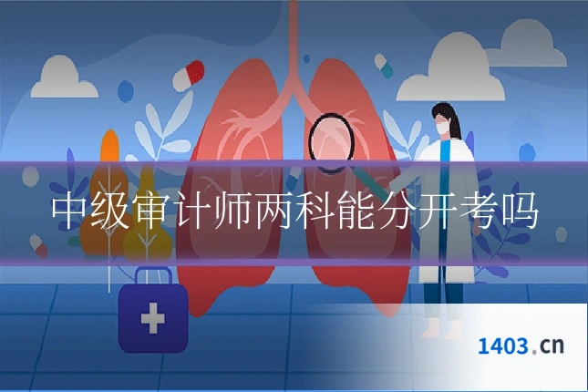中级审计师两科能分开考吗