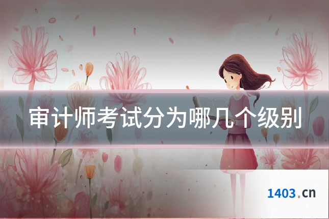 审计师考试分为哪几个级别