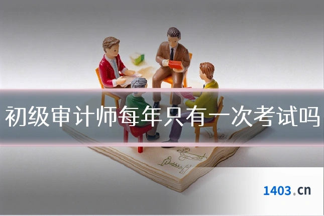初级审计师每年只有一次考试吗