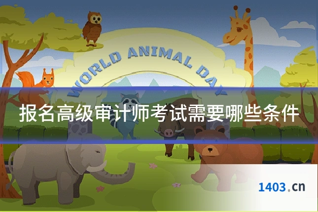 报名高级审计师考试需要哪些条件