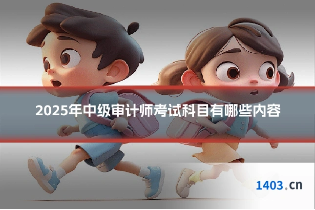 2025年中级审计师考试科目有哪些内容