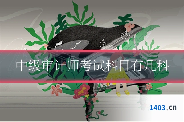 中级审计师考试科目有几科