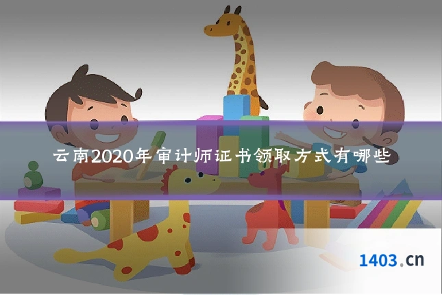 云南2020年审计师证书领取方式有哪些