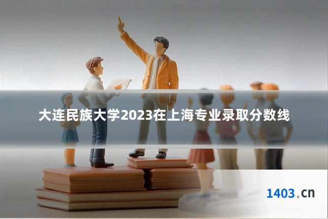 大连民族大学2023在上海专业录取分数线