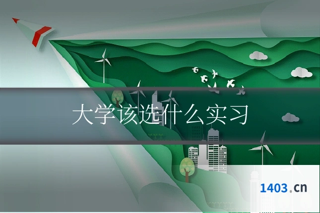 大学该选什么实习