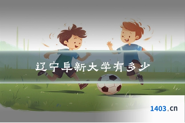 辽宁阜新大学有多少