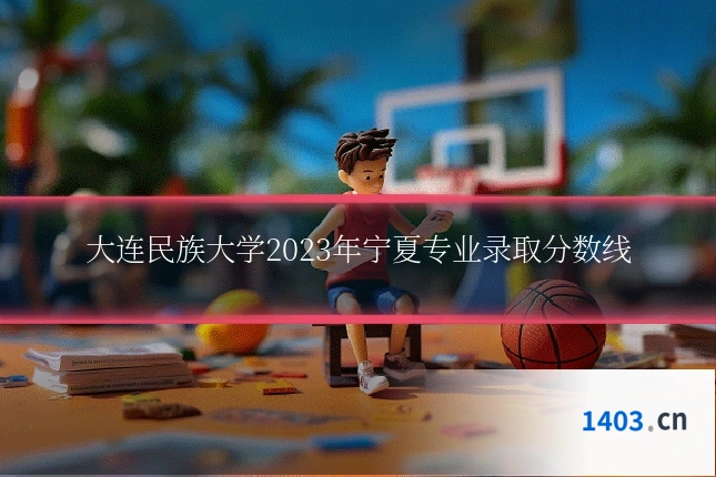 大连民族大学2023年宁夏专业录取分数线