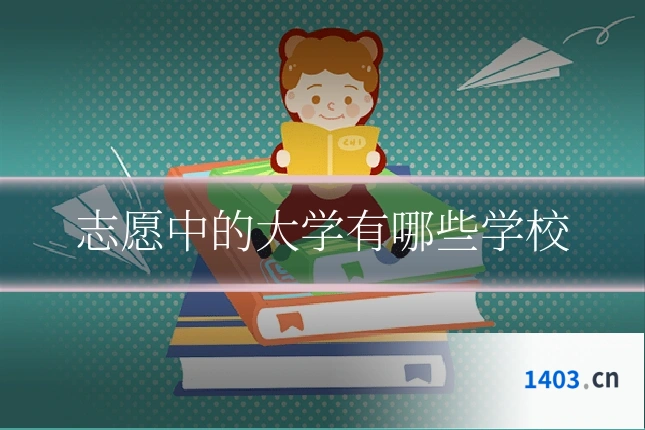 志愿中的大学有哪些学校