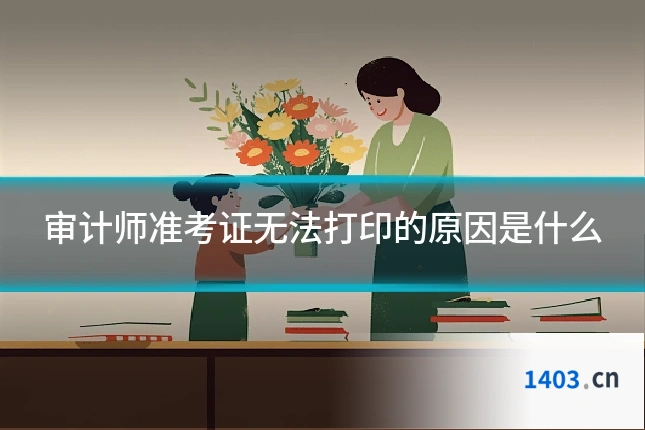审计师准考证无法打印的原因是什么