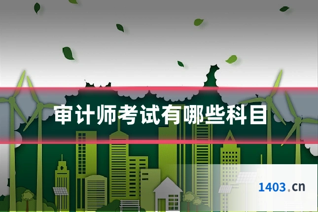 审计师考试有哪些科目