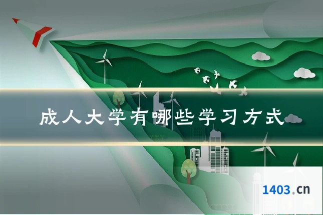 成人大学有哪些学习方式