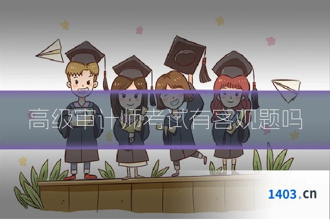 高级审计师考试有客观题吗
