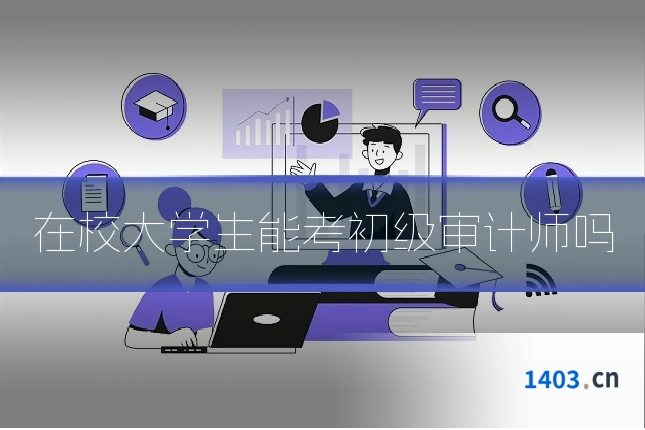 在校大学生能考初级审计师吗