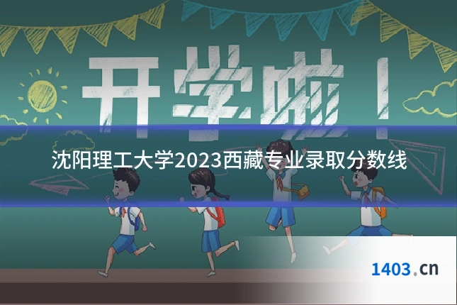 沈阳理工大学2023西藏专业录取分数线