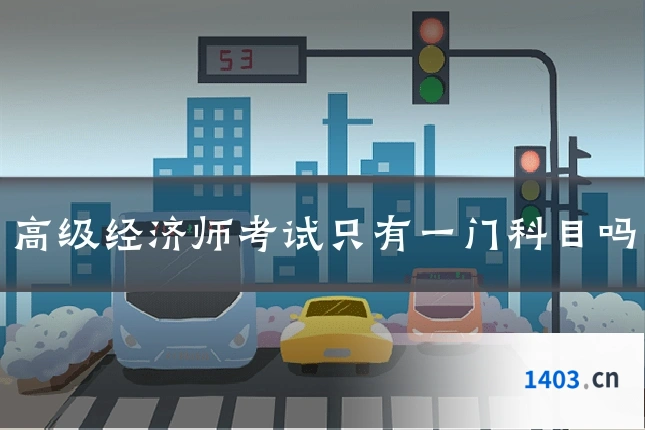 高级经济师考试只有一门科目吗