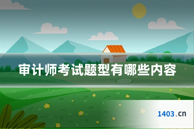 审计师考试题型有哪些内容