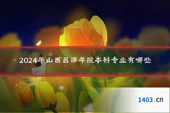 2024年山西吕梁学院本科专业有哪些
