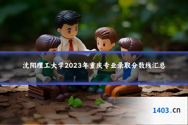 沈阳理工大学2023年重庆专业录取分数线汇总