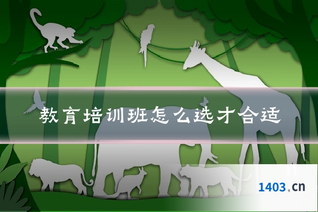 教育培训班怎么选才合适