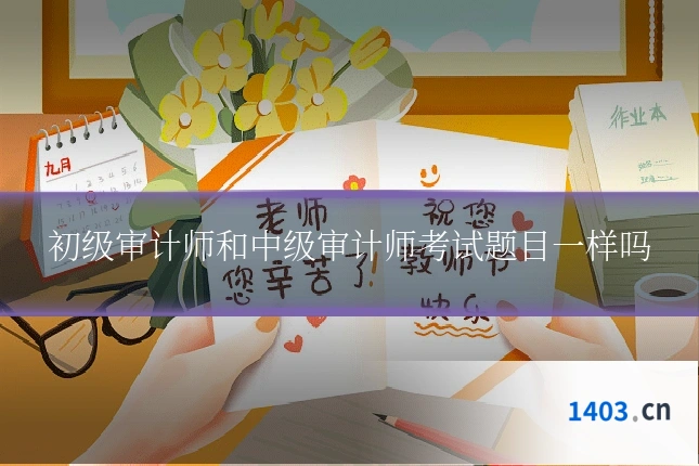 初级审计师和中级审计师考试题目一样吗