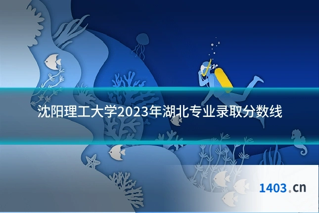 沈阳理工大学2023年湖北专业录取分数线