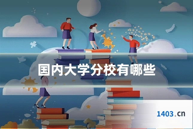 国内大学分校有哪些