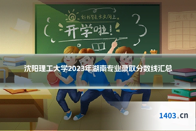 沈阳理工大学2023年湖南专业录取分数线汇总