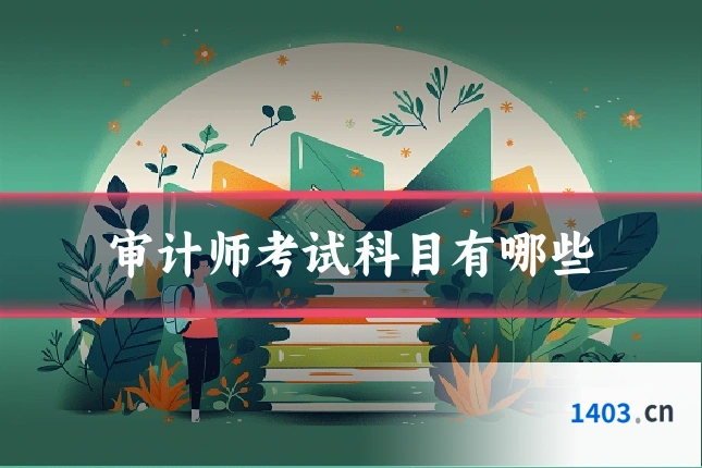 审计师考试科目有哪些