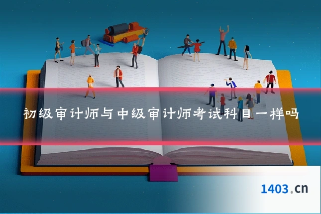 初级审计师与中级审计师考试科目一样吗
