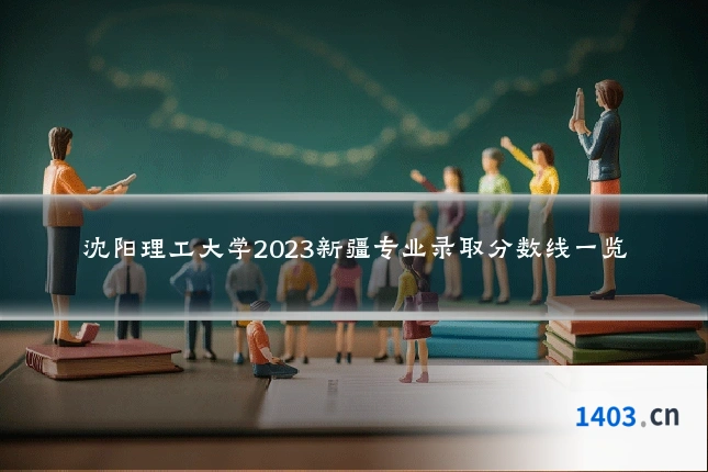 沈阳理工大学2023新疆专业录取分数线一览