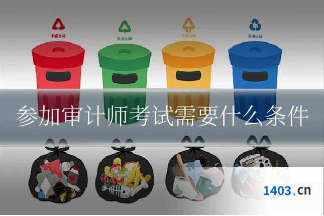 参加审计师考试需要什么条件