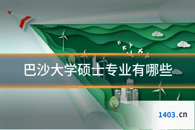巴沙大学硕士专业有哪些