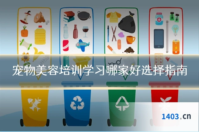 宠物美容培训学习哪家好选择指南
