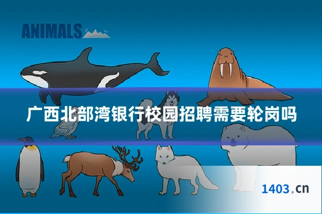 广西北部湾银行校园招聘需要轮岗吗