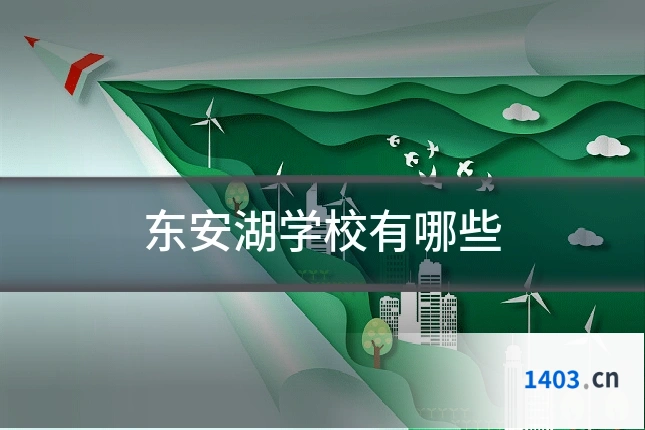 东安湖学校有哪些
