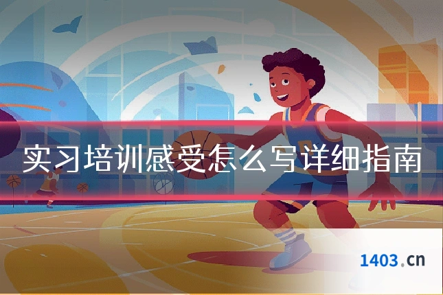 实习培训感受怎么写详细指南